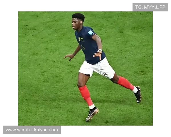 楚阿梅尼被评为欧洲杯最佳中场